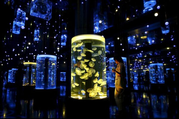 15 Tempat Romantis di Jepang yang Cocok untuk Bulan Madu