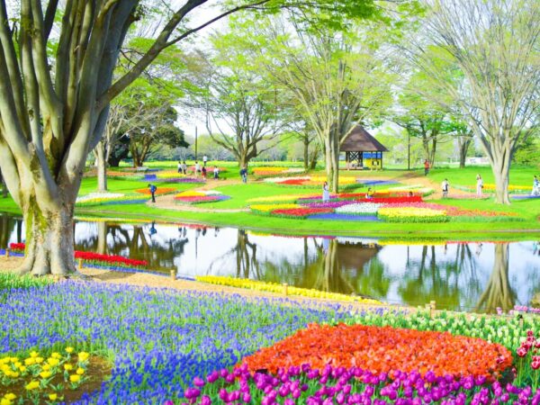 15 Tempat Romantis di Jepang yang Cocok untuk Bulan Madu