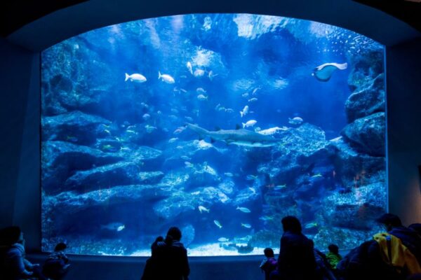 15 Tempat Romantis di Jepang yang Cocok untuk Bulan Madu